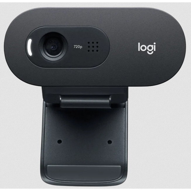 Logitech Webcam C505e 30Pfs 720p HD