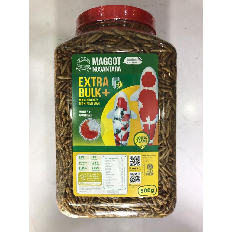 MAGGOT NUSANTARA 500GR PAKAN KOI ALAMI EXTRA BULKY MAGGOT IKAN KOI MAGOT IKAN KOI ULAT HONGKONG MAKA