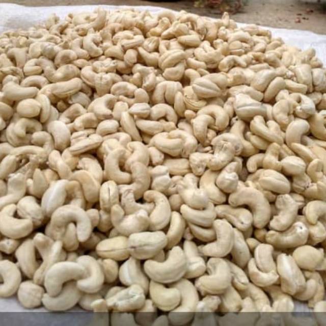 

Kacang mete mentah fress