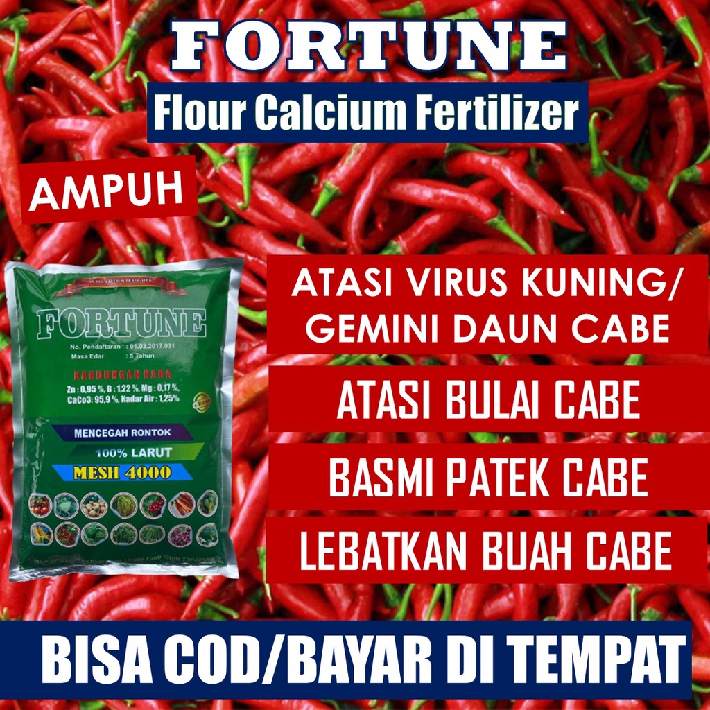 PROMO AMPUH Obat Semprot Daun Cabe Keriting Bule Dan Kuning Bulai Cabai Rawit Basah Kering Penyubur 