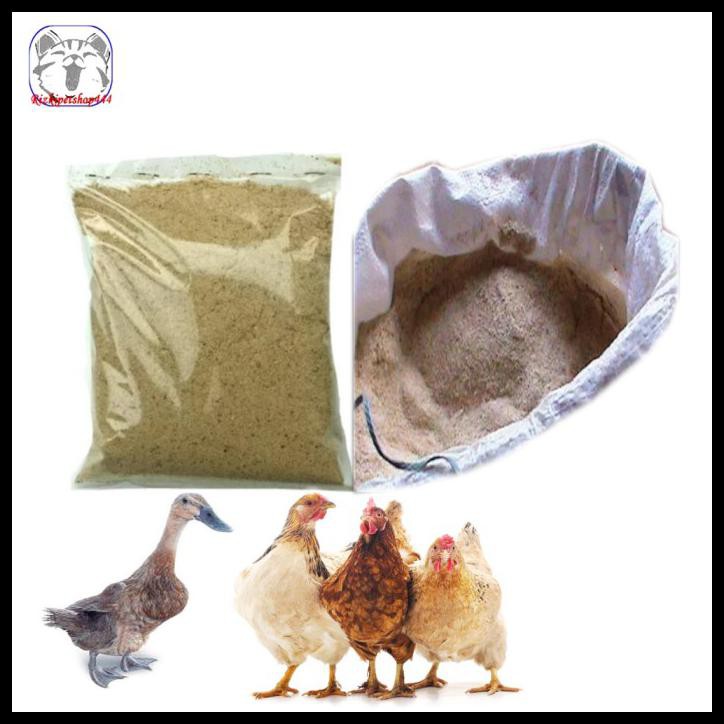 6400 Gambar Hewan Ternak Unggas Terbaru