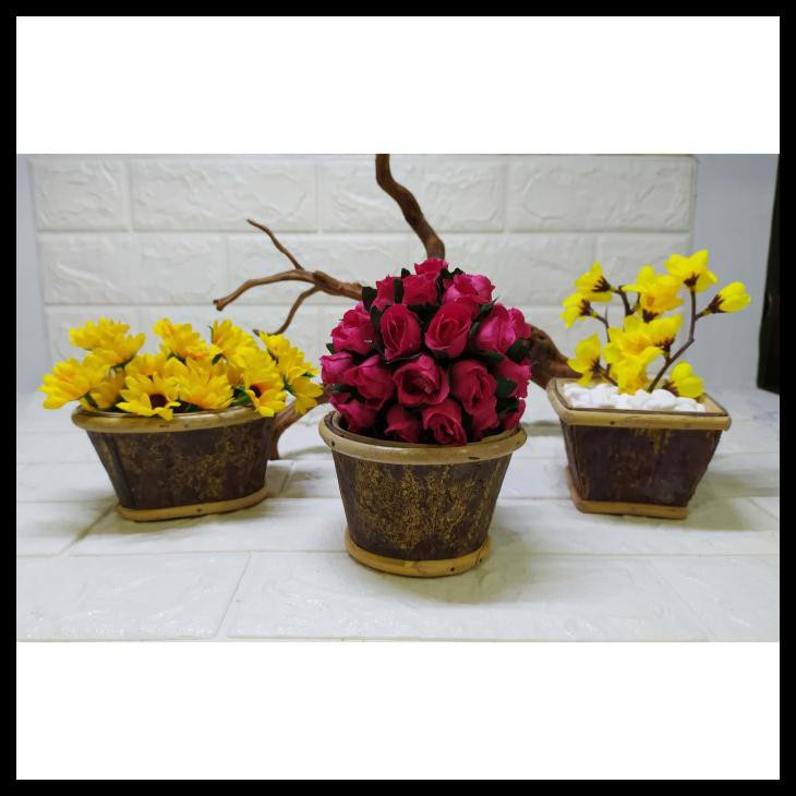 Pot Kulit Kayu Ukuran Kecil Pot Hias Pajangan Dekorasi Cantik - Oval