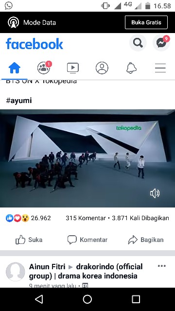 Insert Ecobum Hemp, Birdy, Bamboo Dan Microfiber