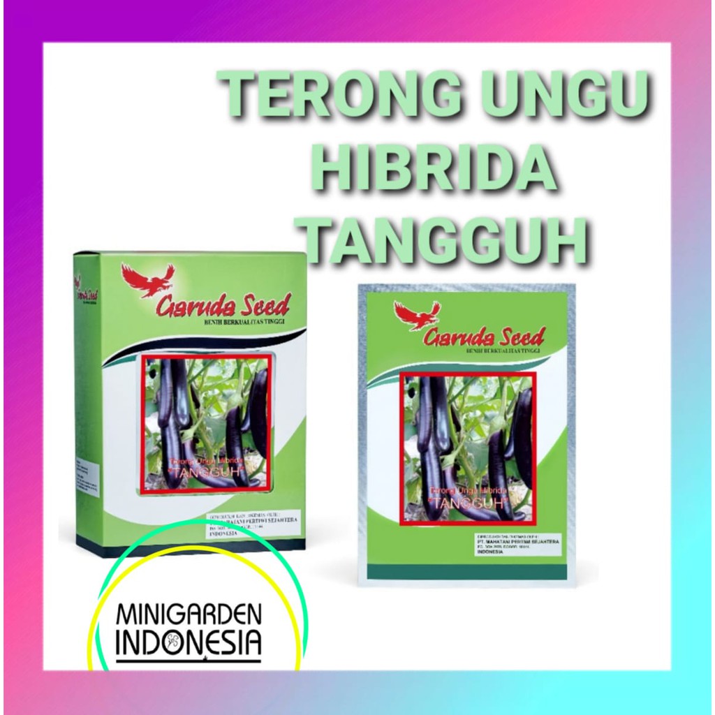 Terong Ungu Hibrida TANGGUH PACK 5 GRAM Benih Bibit terong ± 1250 biji sayur sayuran F1 unggul Garuda Seed