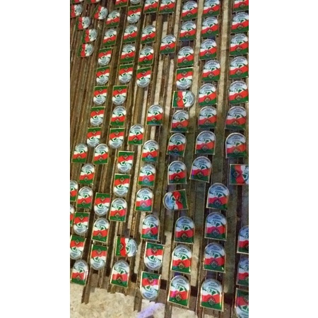 pin pemersatu bangsa