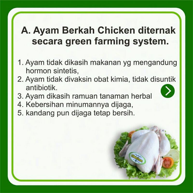 BERKAH Chicken Ayam Organik 1 Ekor Halal