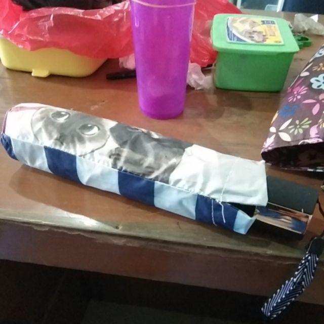 Payung Lipat 3 Mangkok Motif Kucing You Are My Sunshine