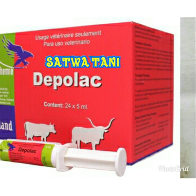 Depolac 5 ml dan Biomycin 5 ml (obat mastitis)