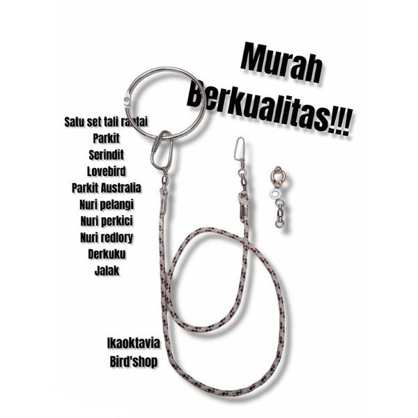 rantai burung derkuku, jalak, lovebird, falk, serindit, nuri kecil, nuri pelangi