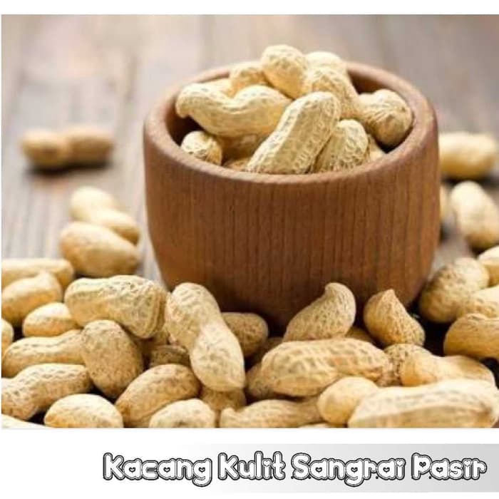 Jual Kacang Kulit Sangrai Pasir Snack Kiloan 100 Gram Shopee Indonesia