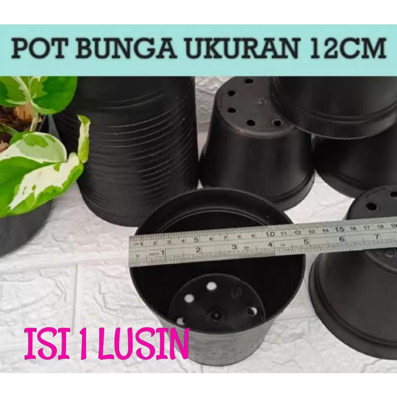 pot bunga paket hemat isi 1 lusin/ pot murah/ pot hitam/ pot plastik/ pot bunga
