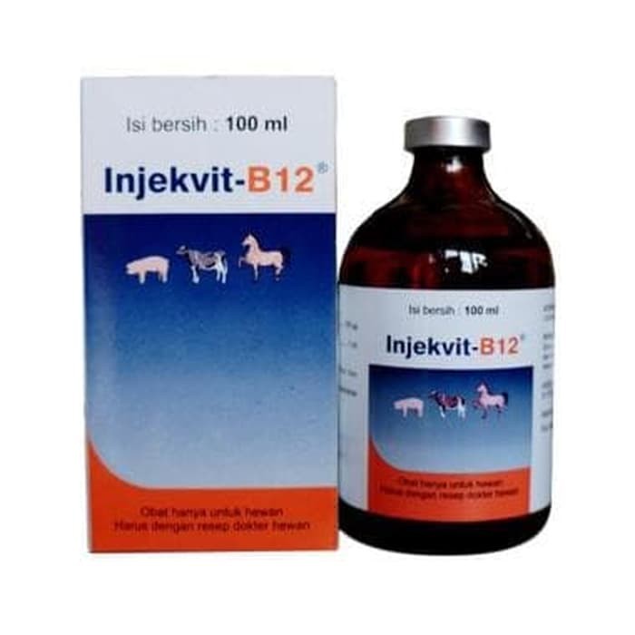 injekvit b12 INJ VIT B12 100 ml untuk anemia pada hewan obat hewan