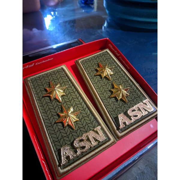 PANGKAT ASN SUMSEL 4D | PANGKAT ASN 4D SUMSEL