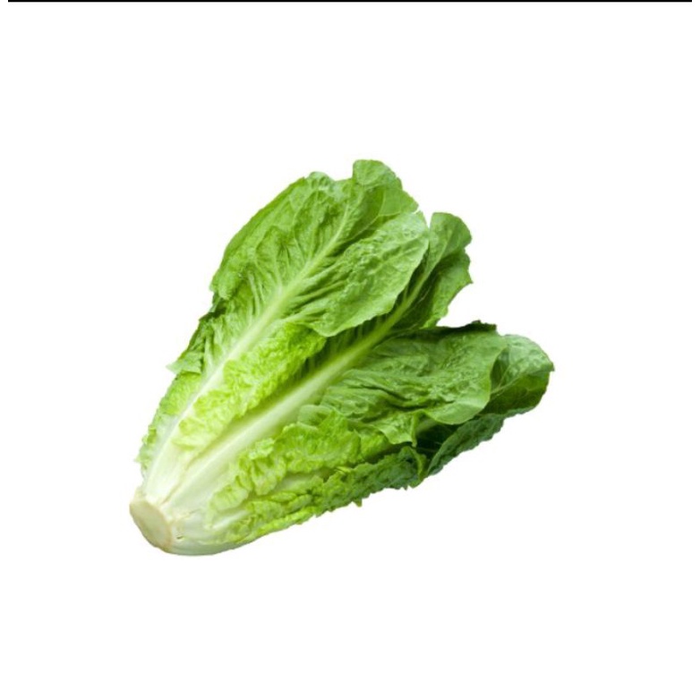 

Romein/Selada romein