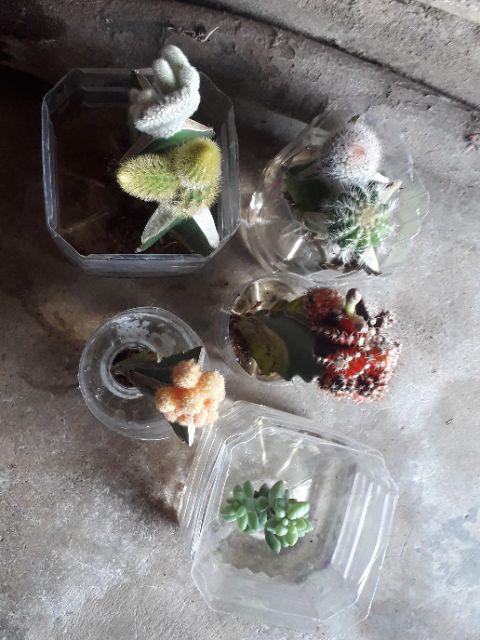 Paket 6 Pcs