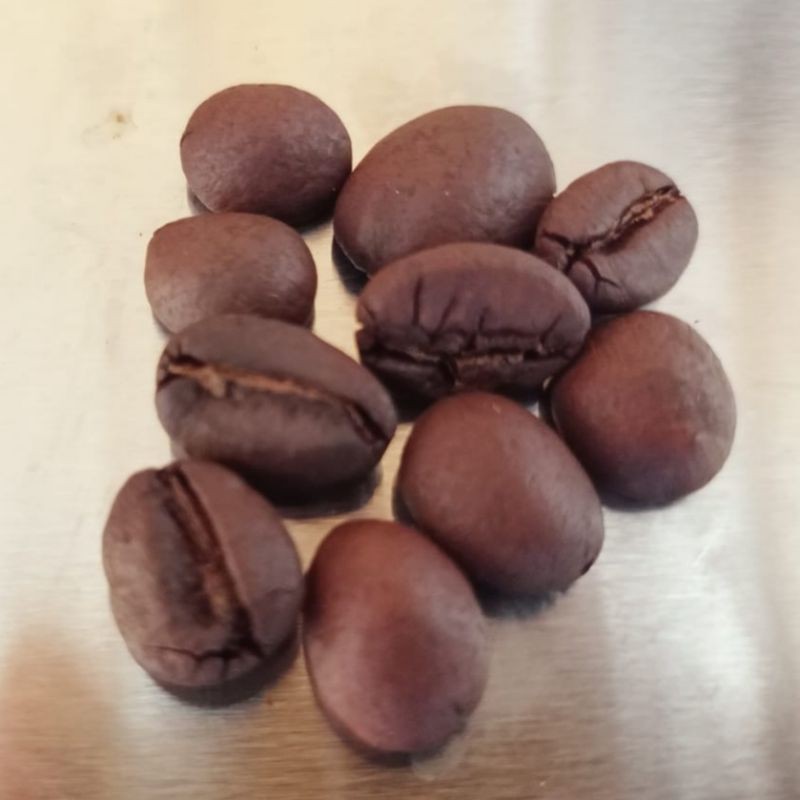 

Kopi Bengkulu Kopi Dangau Datuk Robusta Roasted Medium Dark 100% Biji Kopi Robusta 500gr