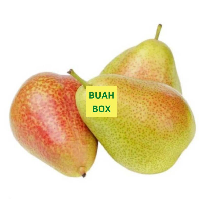 

Buah Pir Forely Fresh Segar Terlaris Terpercaya 1 Kg