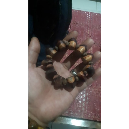 kaboa sancang siliwangi original.trjamin 100%.