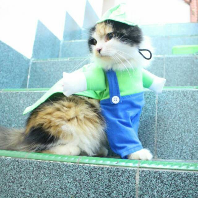 Kostum Luigi + Topi ala Mariobros / baju kucing dan aksesoris kucing lucu murah!!