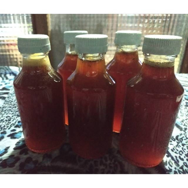

Madu Klanceng Madu Lanceng Madu Trigona Murni 100% Asli Tanpa Campuran Hasil Panen dari Hutan 140 ml