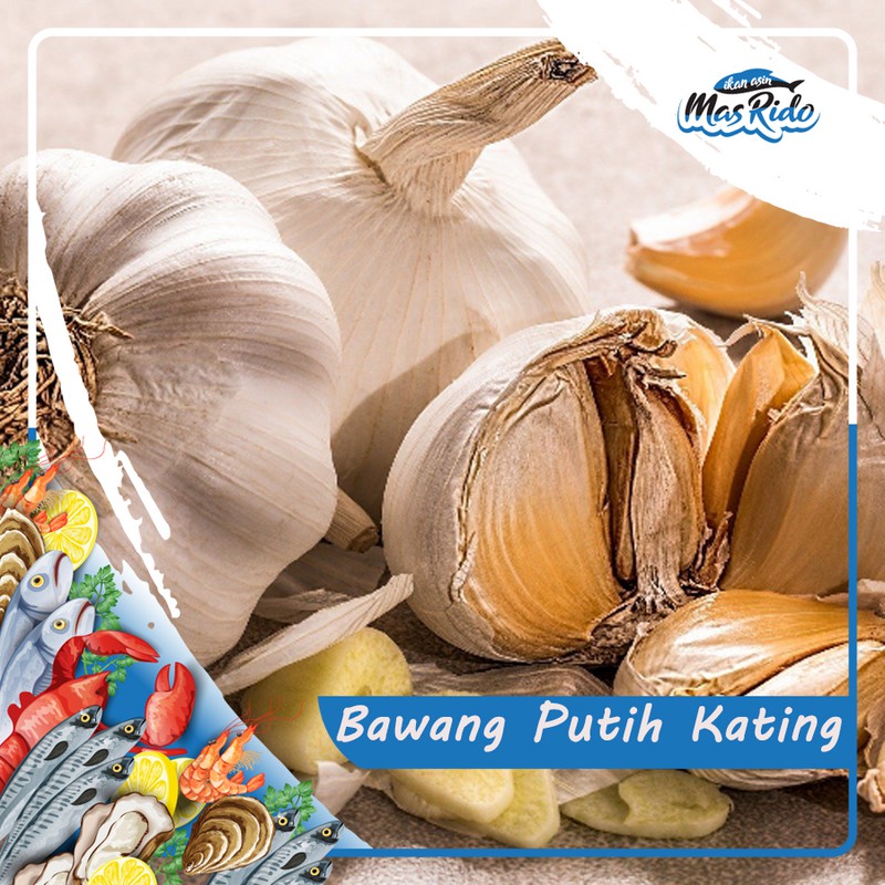 

Bawang Putih Kating Segar Berkwalitas Super Harga Murah