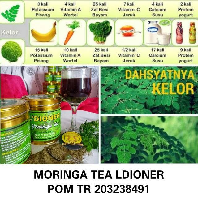 

MORINGA TEA EXTRA DAUN KELOR