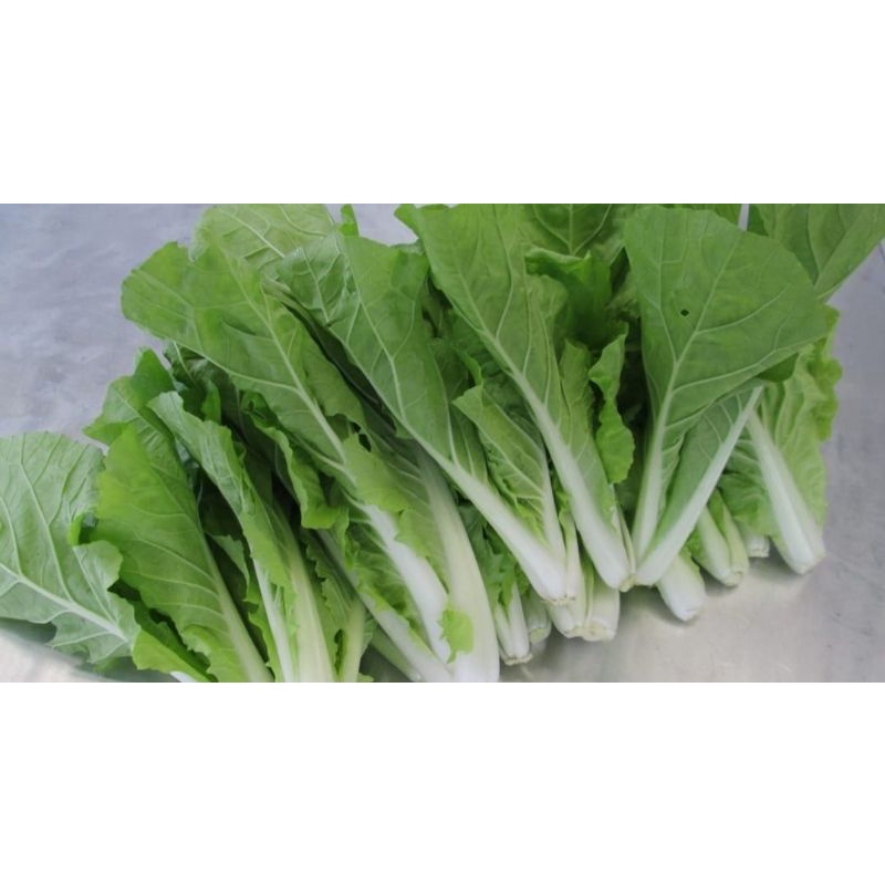 

Sayur Sawi Keriting Organik