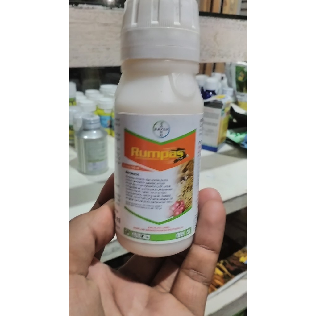 Herbisida Rumpas 120EW