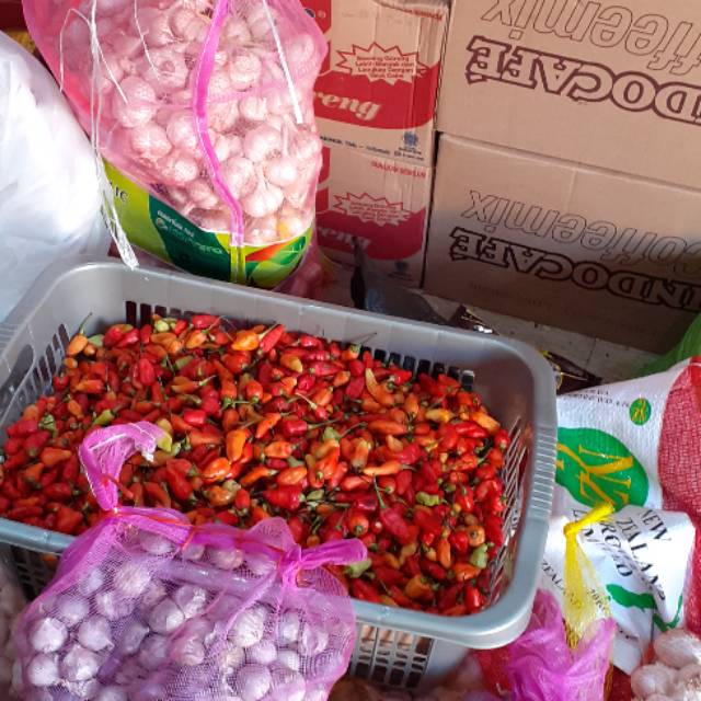 

Cabe rawit merah