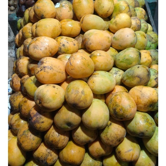 Mangga Gedong Manis Segar 1 Kg