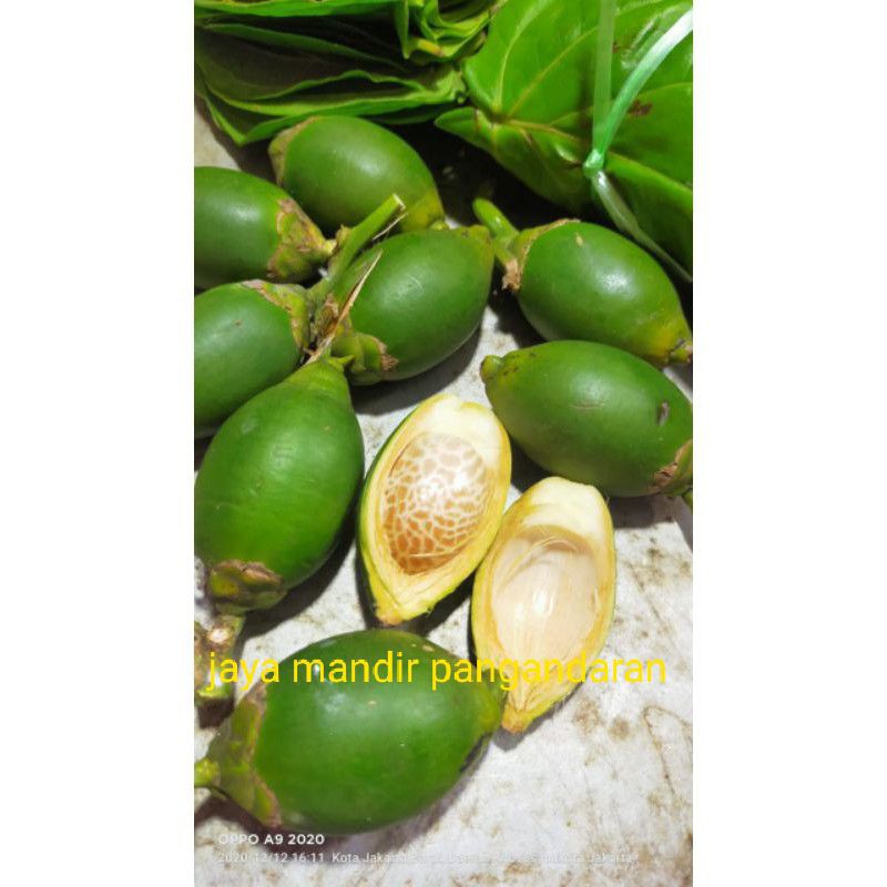 

buah pinang muda 1 kg