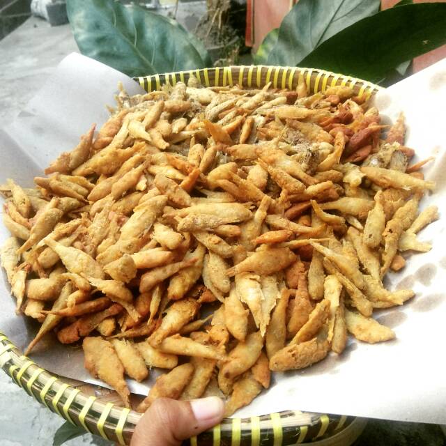 

WADER GORENG KRISPYYYY KEMREMESS bikinan mama silvia