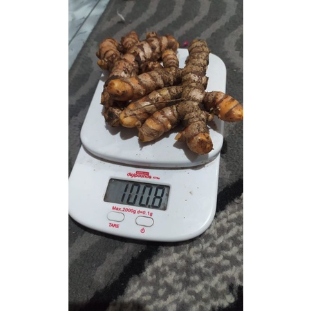 

Kunyit Segar 100g
