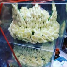 Melati Ronce Sunda Siger