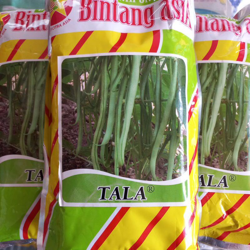 Tala 500gr Benih Buncis Tanpa Lanjaran