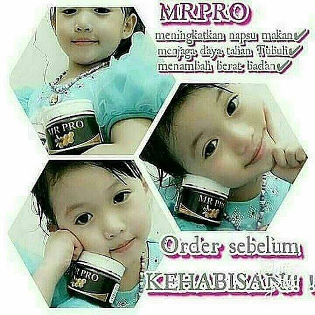 MR PRO (herbal alami penambah berat badan)