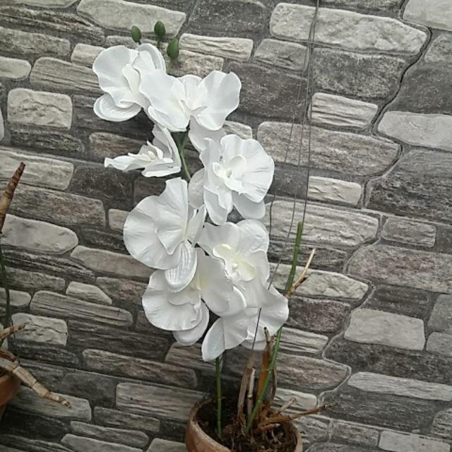 Anggrek Bulan Artificial Jumbo