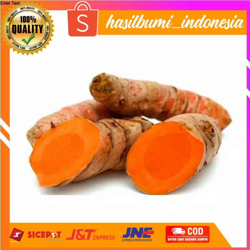 

Kunyit sayur tua fresh 1kg ready stok