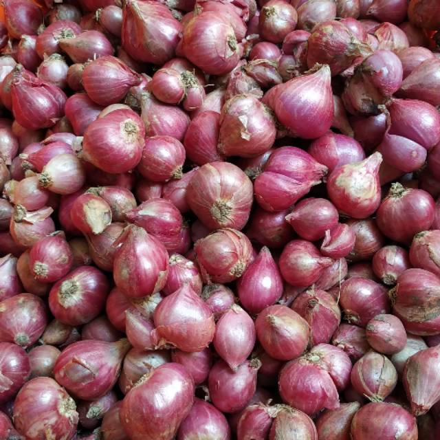 

Bawang merah Probolinggo