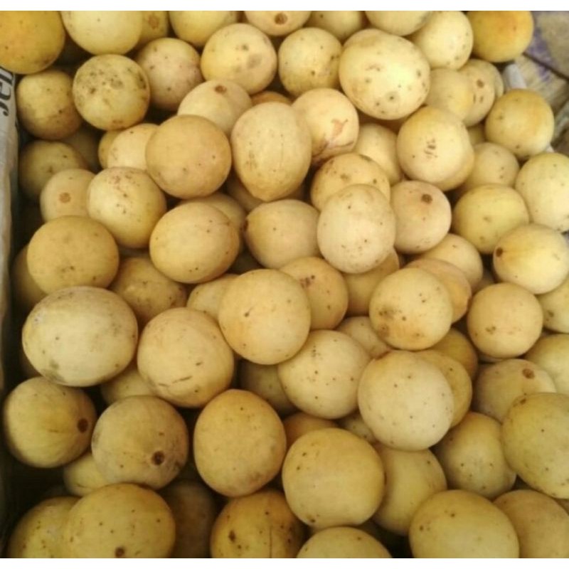 

Buah Duku Palembang segar - 1 kilogram