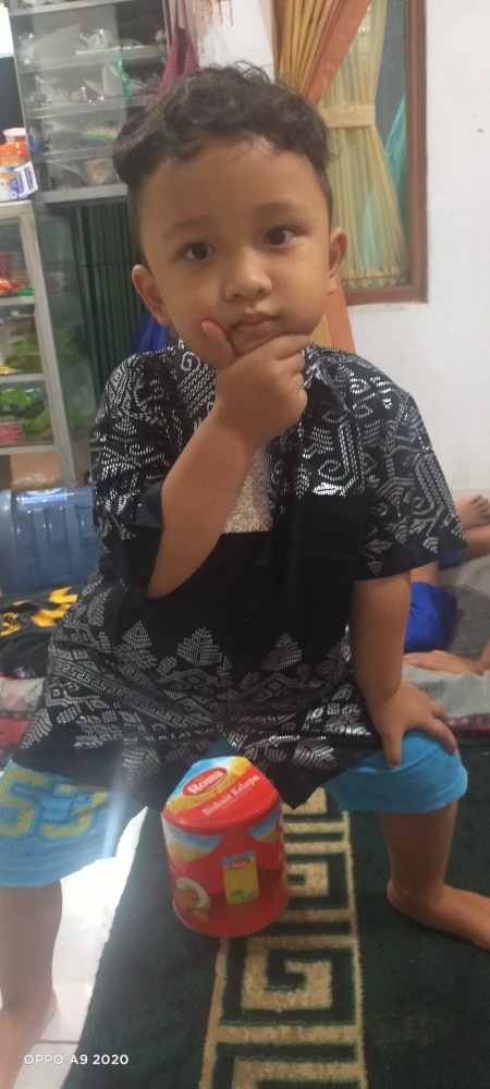 Batik Anak 1 - 10 Tahun Motif Prodo Bakung Anjani Silver Kemeja Bayi Balita Kid