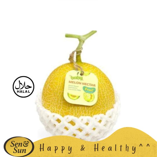 

Sen&Sun Fruit Melon Nectar Baby 1 buah (1200 - 1700 gram)