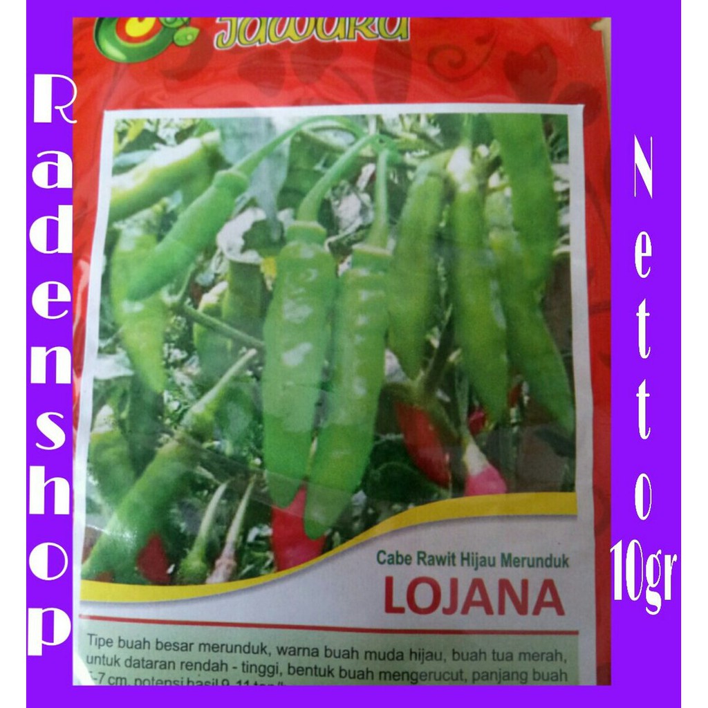 Langsung Order Benih Bibit Cabe Rawit Hijau LOJANA Terlaris