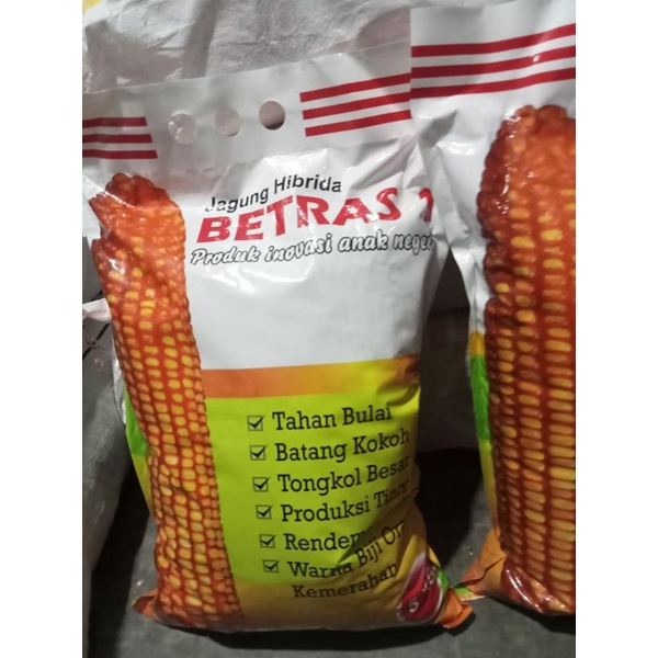 Bibit jagung Hibrida BETRAS  kemasan 5kg