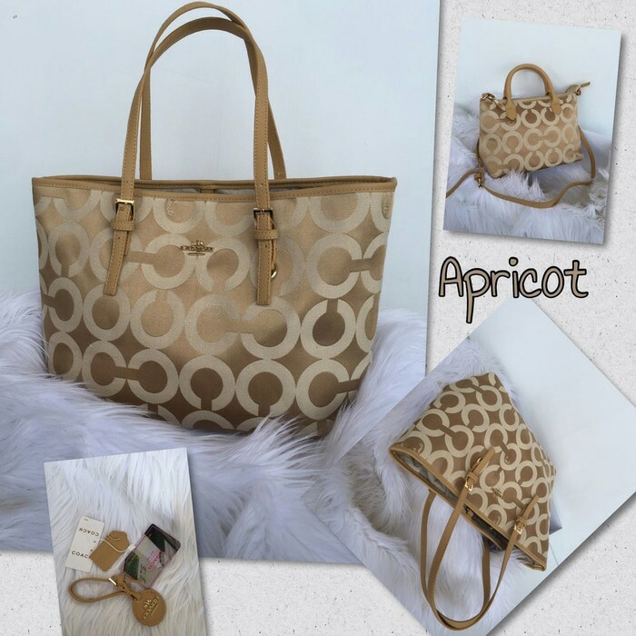 TAS COACH TOTE SIGNATURE KANVAS