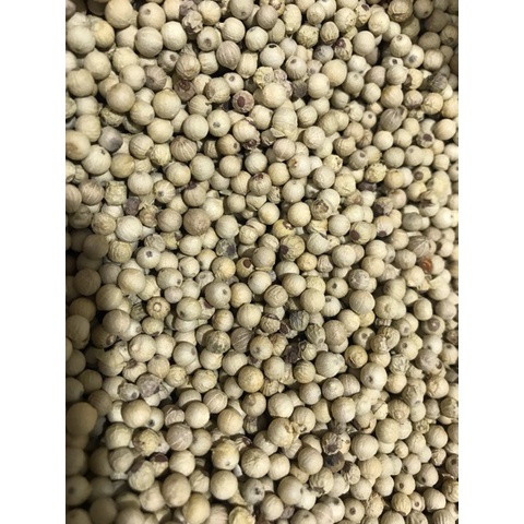 Merica Putih (100 gr)/ Lada Putih / White Pepper / Sahang / Hu jiao (胡椒)