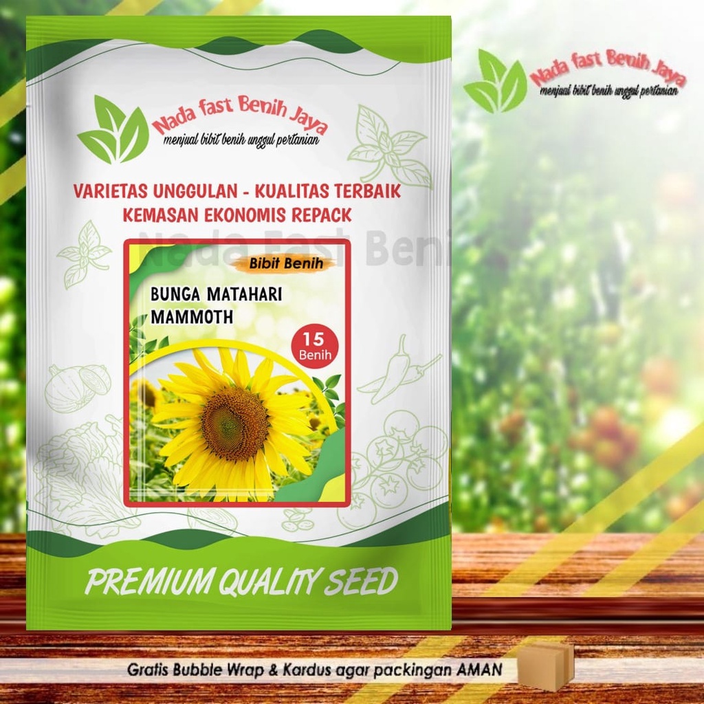 TERBAIK Biji bunga matahari Mammoth  import 15 benih / benih sunflower bibit bunga matahari