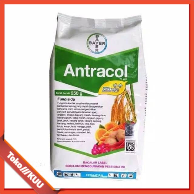 Fungisida Antracol 70 Wp Zinc 250 Gr  300gr