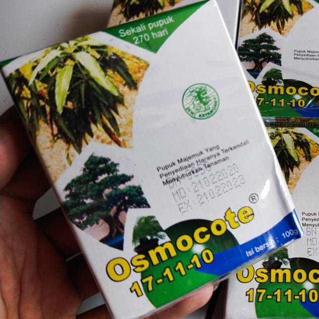 Pupuk Tanaman Hias & Bonsai Decastar Murah