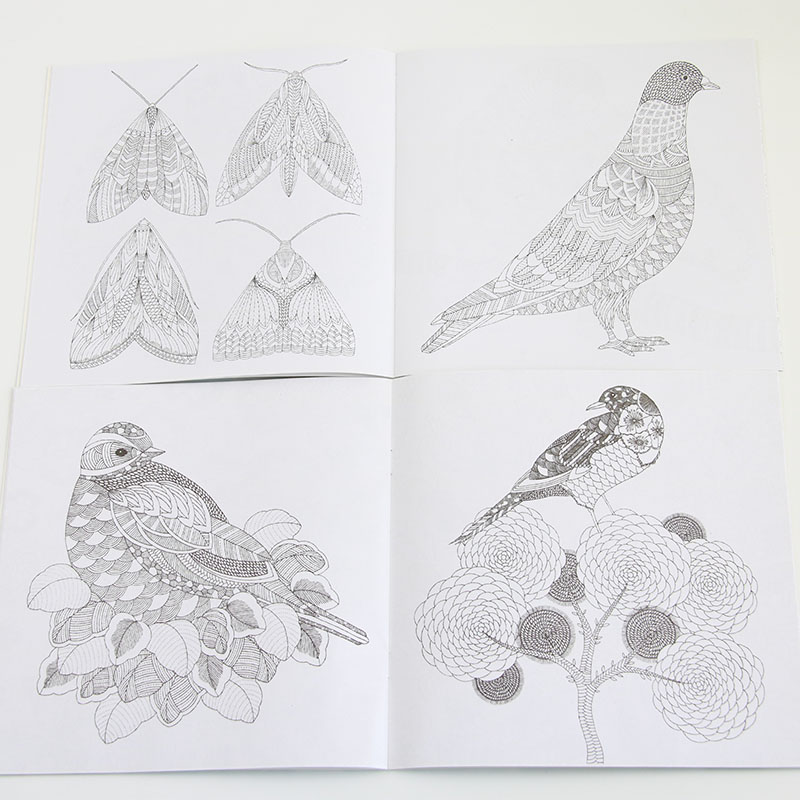 1 Pc Buku Gambar Mewarnai 24 Halaman Motif Binatang Bahasa Inggris Untuk Anaksekolahkantor-5